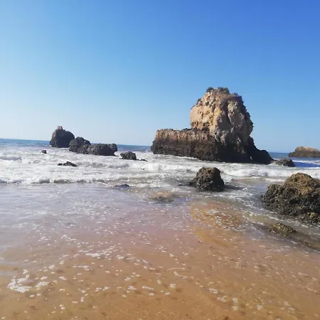 Apartment Rocha Praia Mar Beach Front Line Bay