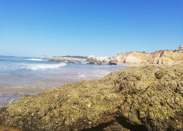 Apartamento Rocha Mar Front Line Bay