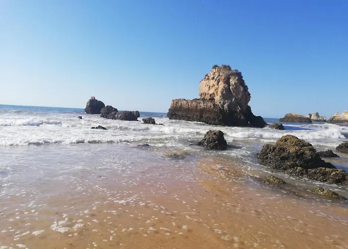 Apartamento Rocha Mar Front Line Bay